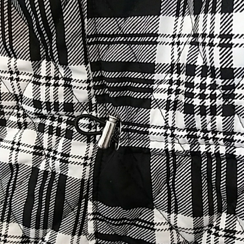 Shell - Picture 3 of 4